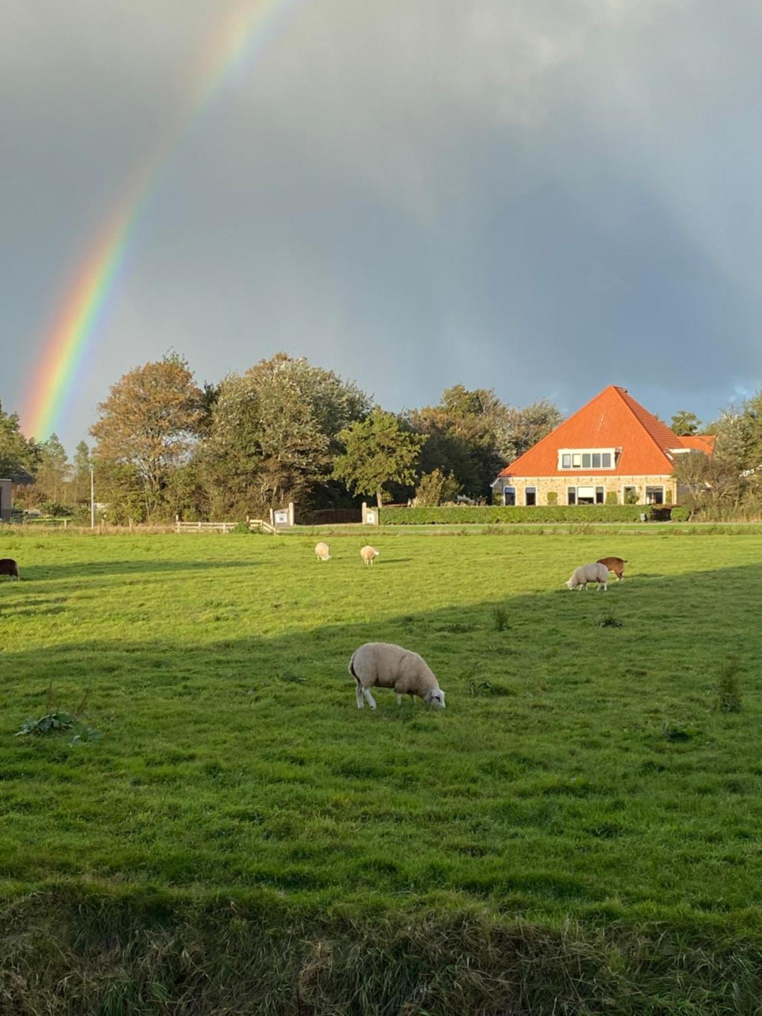 Oomes Huus Haestens And Koffie Den Hoorn  Exteriér fotografie