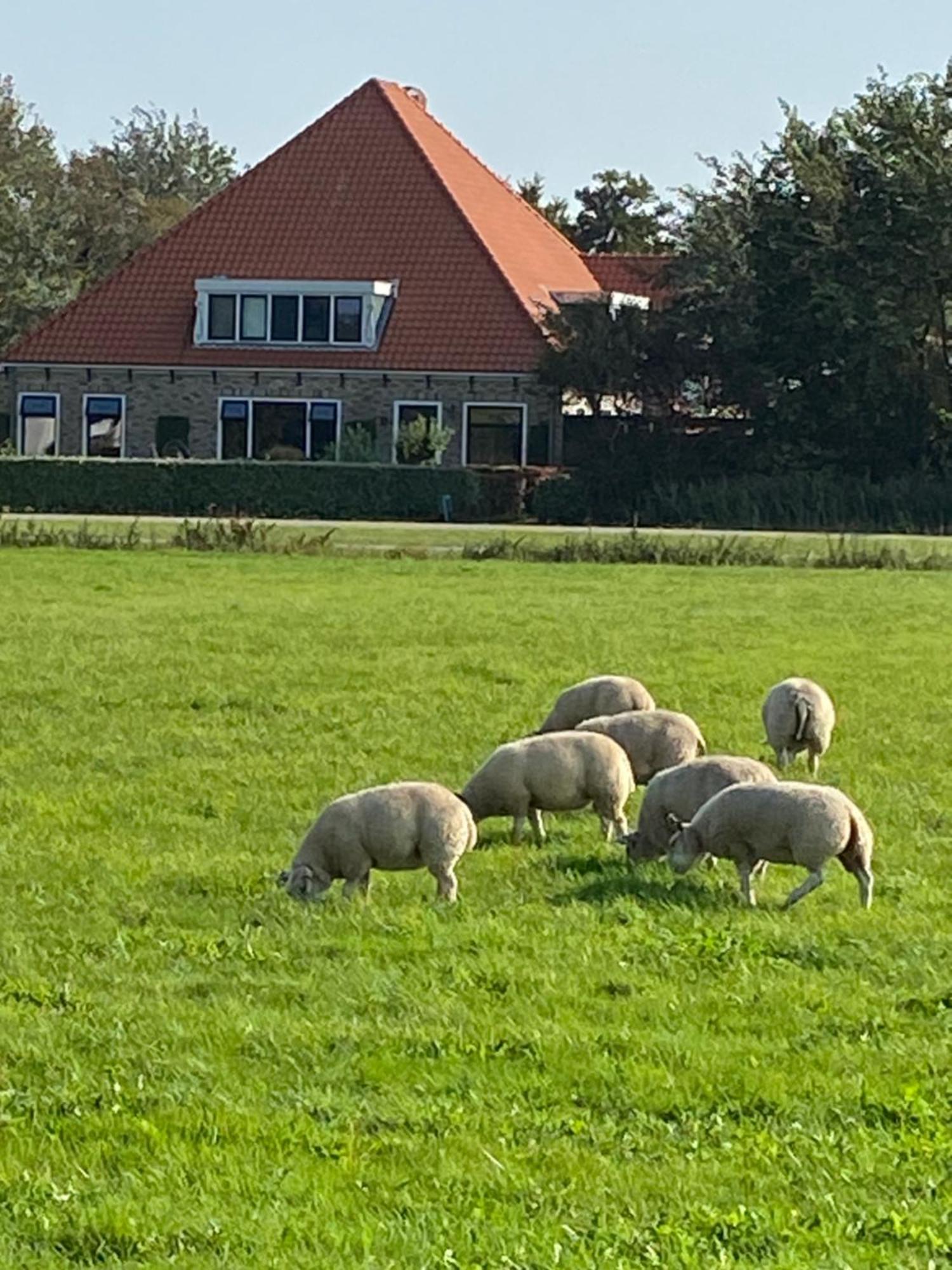Oomes Huus Haestens And Koffie Den Hoorn  Exteriér fotografie