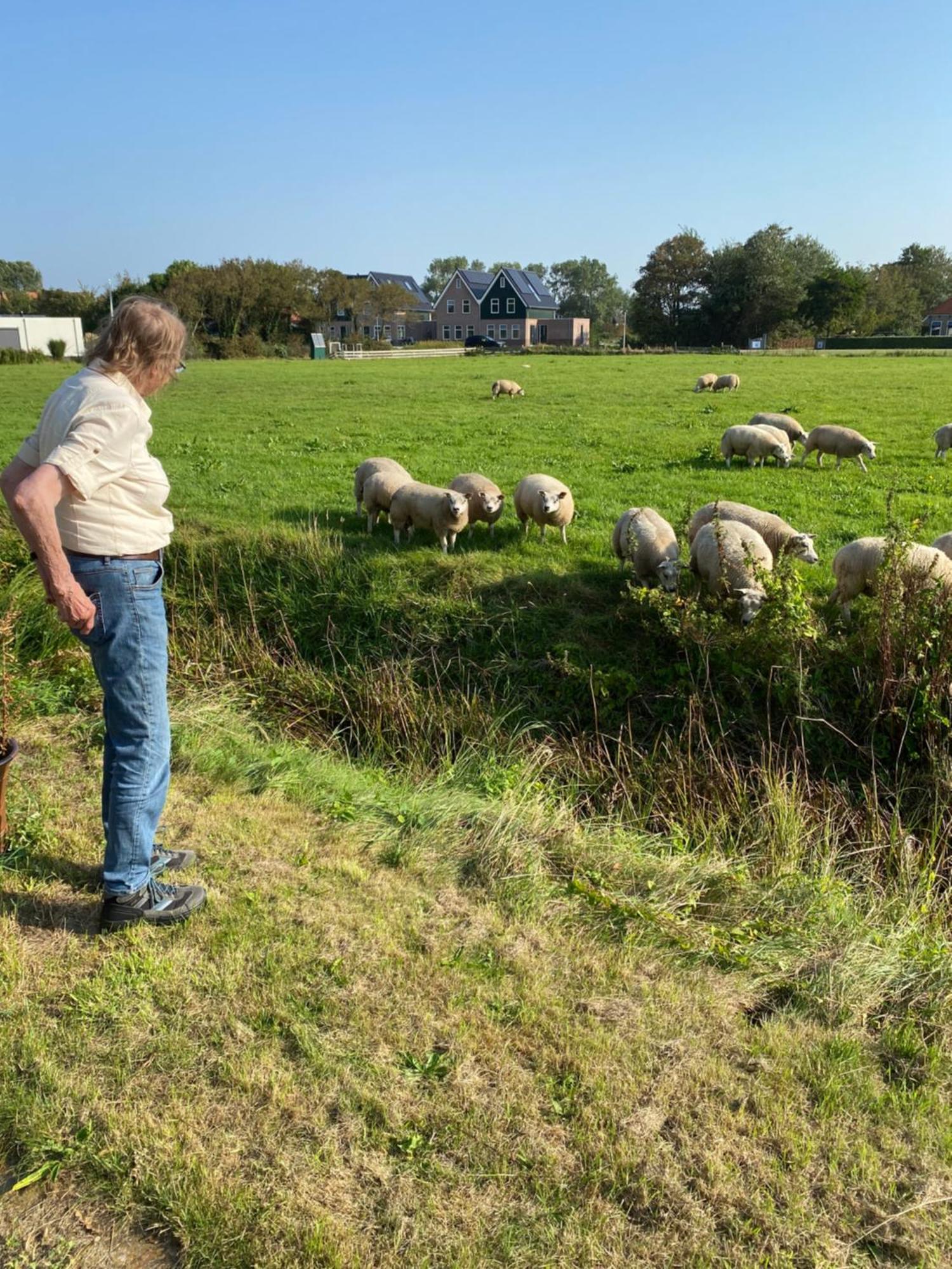 Oomes Huus Haestens And Koffie Den Hoorn  Exteriér fotografie