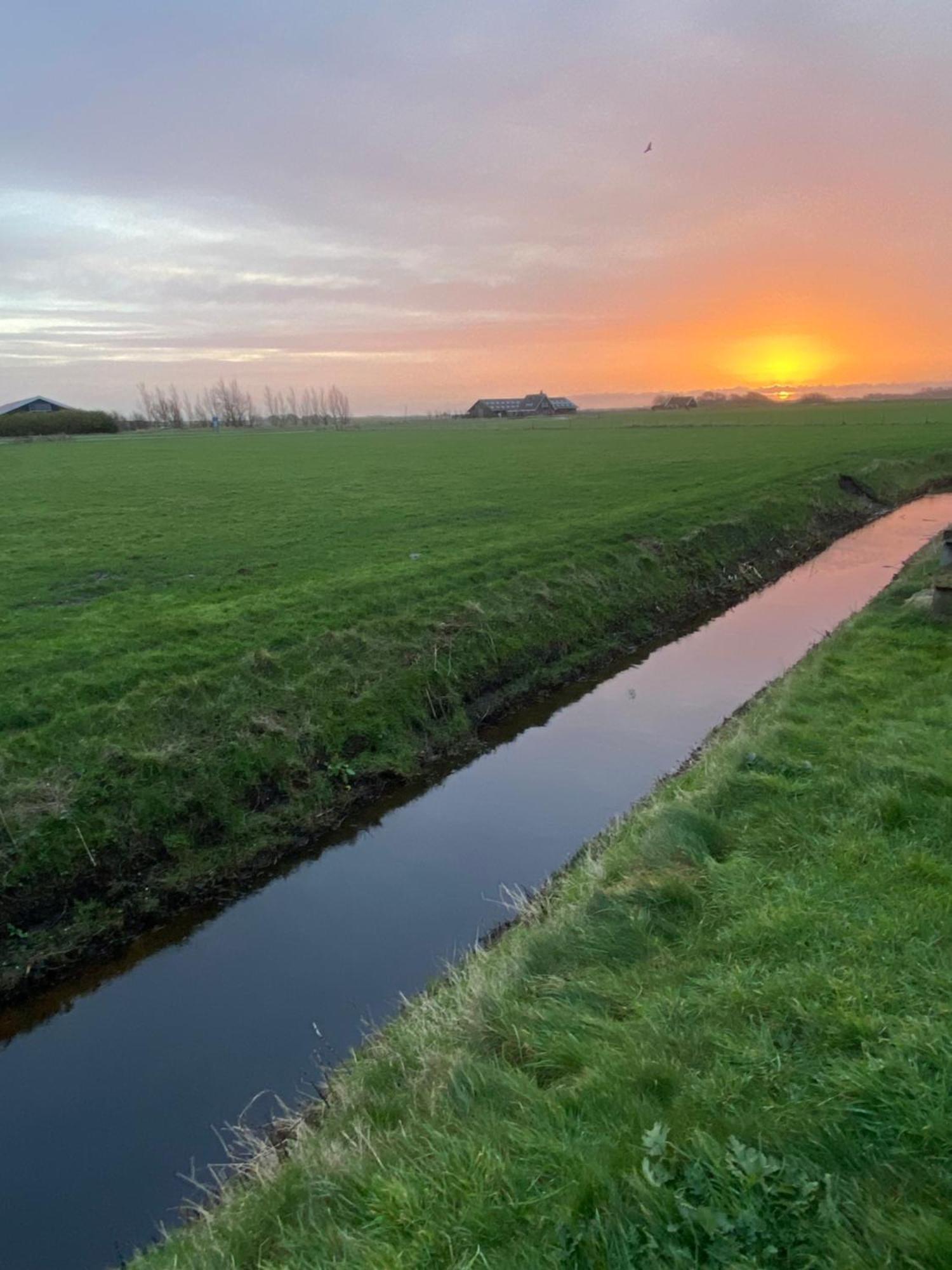 Oomes Huus Haestens And Koffie Den Hoorn  Exteriér fotografie