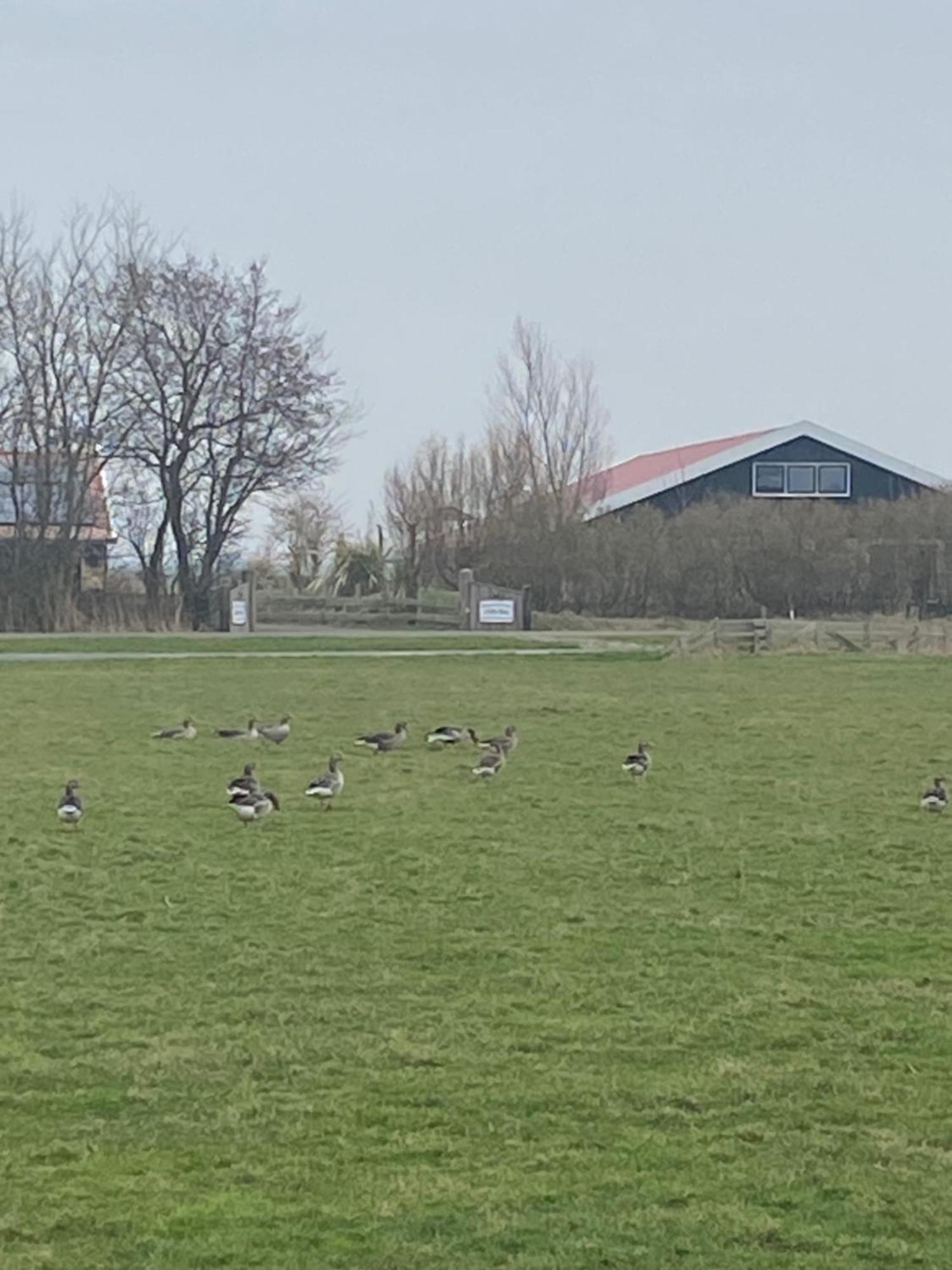 Oomes Huus Haestens And Koffie Den Hoorn  Exteriér fotografie